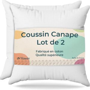 Coussin Canapé 40x40 Lot de 2 - Oreillers Décoratifs Aesthetic Antiallergiques