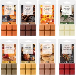 Découvrez les Fondants de Cire parfumée d'automne - Coffret 8 Packs pour Halloween et Noël