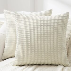 Housse de Coussin Velours 40x40 - Lot de 2 Beige