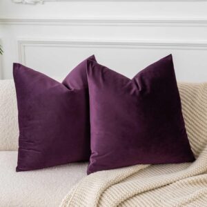 Housses de Coussin en Velours Violet Aubergine 40x40 cm - Lot de 2