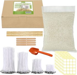 Kit JBEIY: Cire de Soja 1kg, 200 Mèches et Accessoires pour Fabrication de Bougies