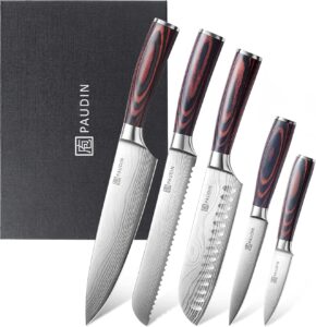 PAUDIN Set Couteaux de Cuisine Professionnels Japonais - 5 Pièces en Acier Inox